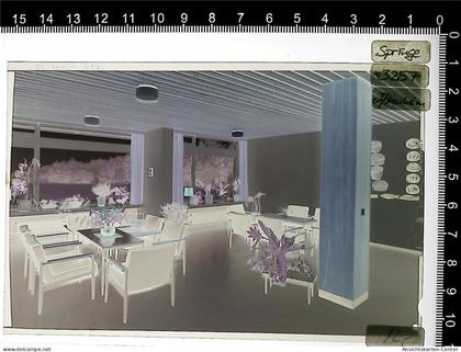 31001358 - Springe , Deister