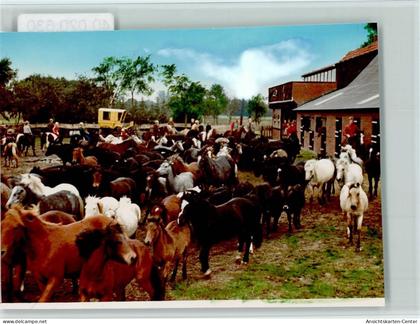 40020630 - Haren (Ems)