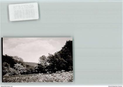 40072678 - Hessisch Oldendorf