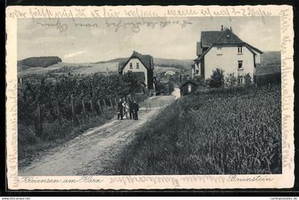 AK Kreiensen am Harz, Brunstein mit Landstrasse
