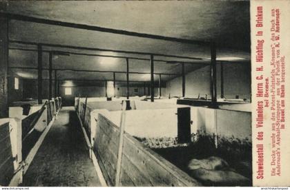 CPA Brinkum Stuhr, Schweinestall des Vollmeiers Herrn C. H. Hüchtling, Reklame Fabrik A. W. Andernach