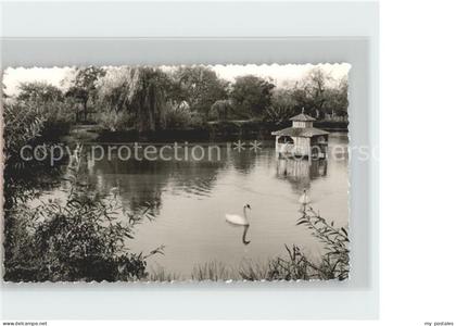 Fuerstenberg Weser Schwanenteich