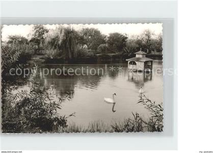 Fuerstenberg Weser Schwanenteich