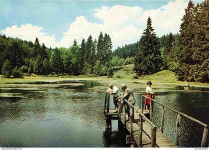 Lakenhaus Steg am Lakenhausteich