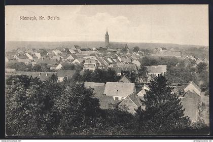 AK Niemegk /Belzig, Ortsansicht mit Kirche