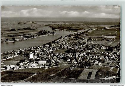 39231354 - Nierstein