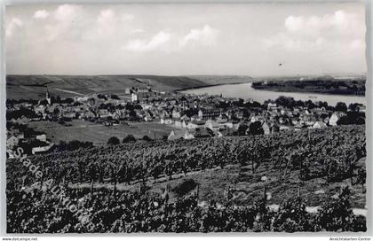 51391627 - Nierstein