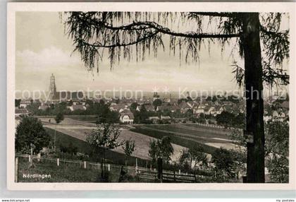 Noerdlingen Panorama