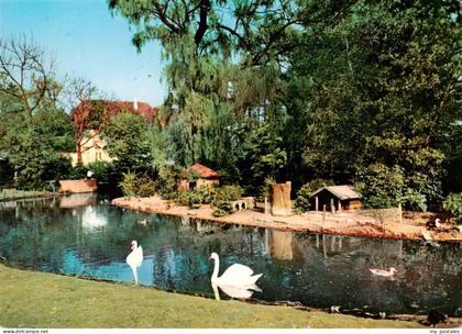 Coesfeld Im Stadtpark