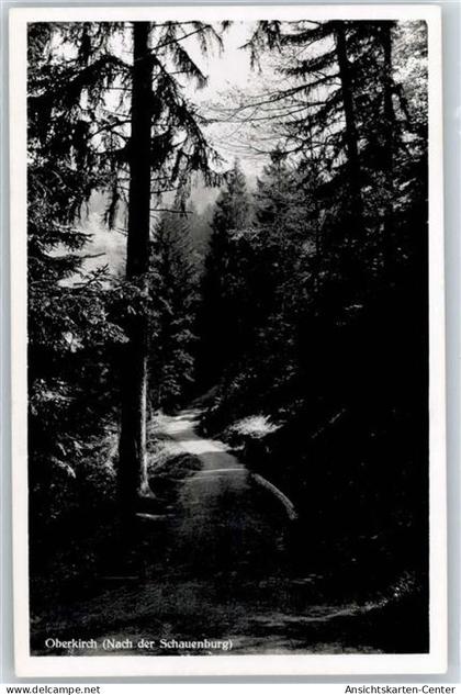 50960502 - Oberkirch , Baden