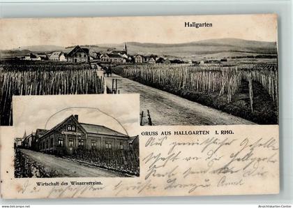 13401834 - Hallgarten , Rheingau