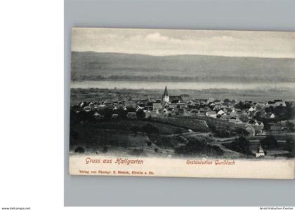 50314176 - Hallgarten , Rheingau