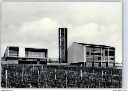 51434257 - Mittelheim , Rheingau