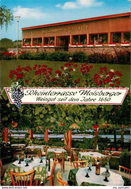 Oestrich-Winkel Rheinterrasse Molsberger Freiterrasse