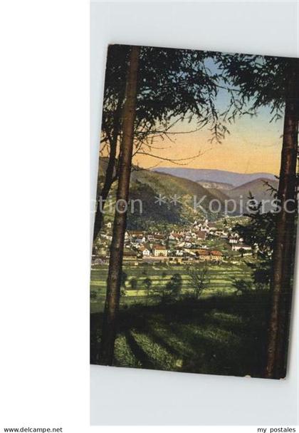 Oppenau Panorama