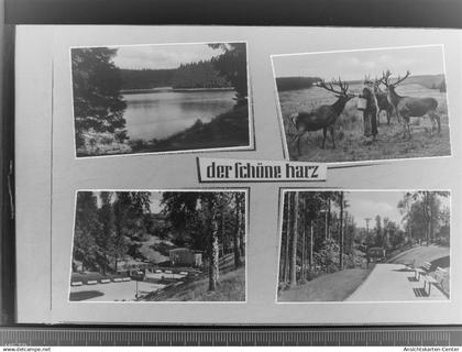 30012144 - Osterode am Harz
