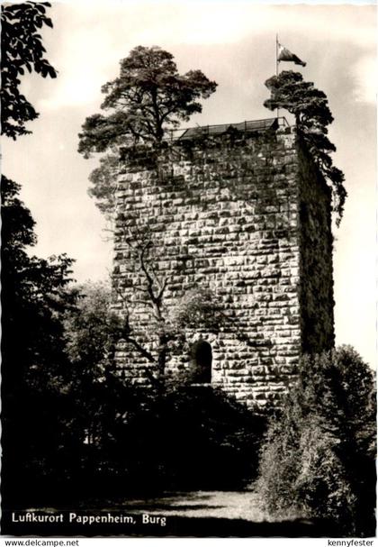 Pappenheim - Burg