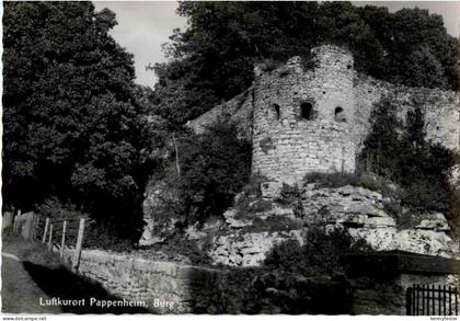 Pappenheim - Burg
