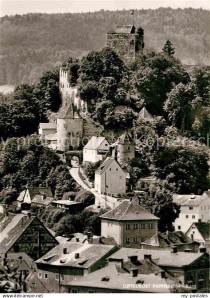 Pappenheim Mittelfranken Burg