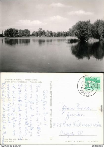 Ansichtskarte Peitz Picnjo Peitzer Teiche 1977