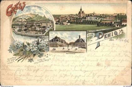Penig Rathaus Panorama