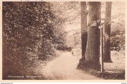 Pinneberg - Waldpartie gel.1927