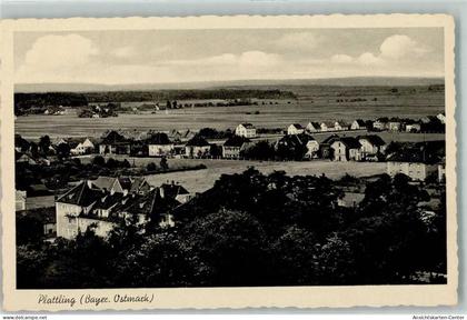 13184978 - Plattling