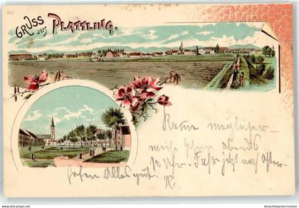 51827979 - Plattling