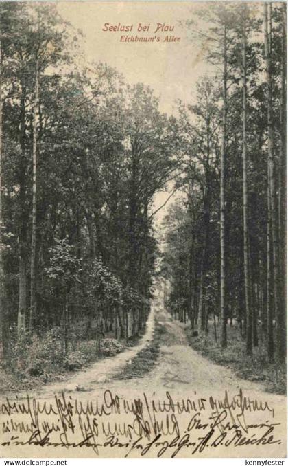 Seelust bei Plau, Eichbaums Allee