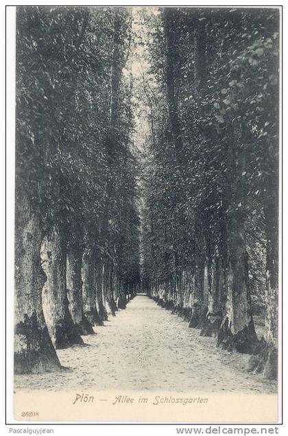CPA PLON - ALLEE IM SCHLOSSGARTEN