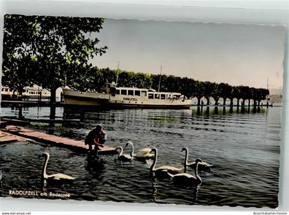 39933088 - Radolfzell am Bodensee