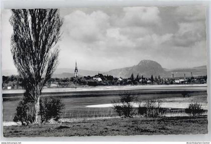 50434531 - Radolfzell am Bodensee