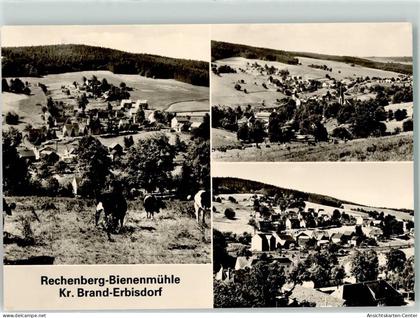 39235421 - Rechenberg-Bienenmuehle