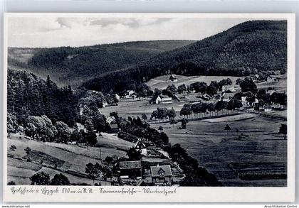 51300385 - Holzhau