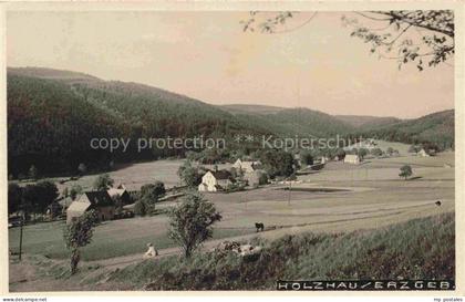 Holzhau Erzgebirge Rechenberg-Bienenmuehle Panorama