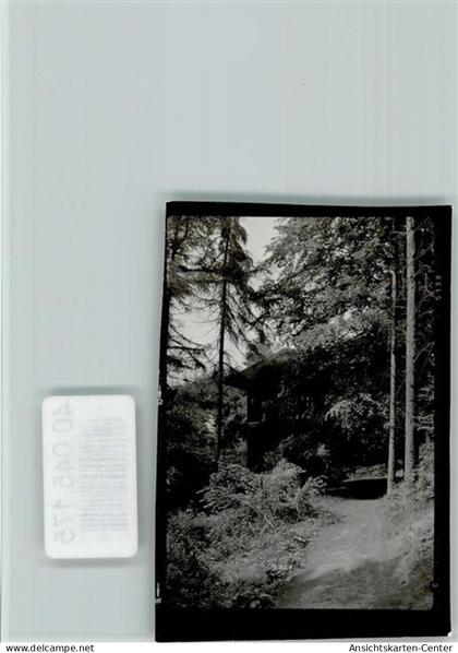 40045175 - Bendorf , Rhein