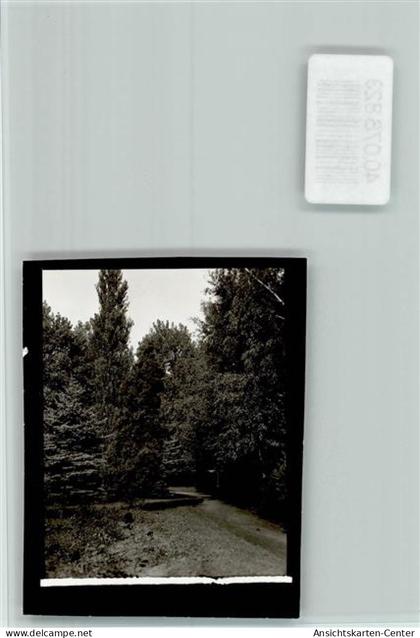 40076823 - Frankenthal (Pfalz)