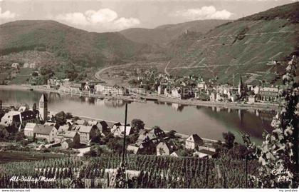 Alf Bullay Mosel Panorama
