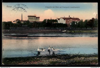 AK Riesa, Elbpartie mit Blick auf Eisenwerk Lauchhammer