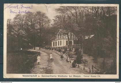 Waldwirtschaft bei Rinteln (8306)