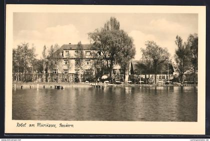 AK Röbel a. Müritzsee, Seestern