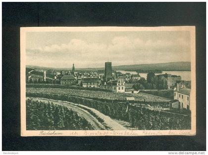 Allemagne - Rüdesheim (vue générale)