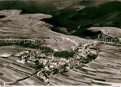 Presberg Rheingau Fliegeraufnahme