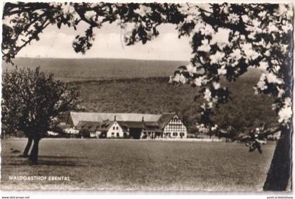 Rüdesheim a. Rh. - Waldgasthof Ebental