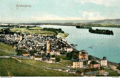 Ruedesheim Rhein Panorama