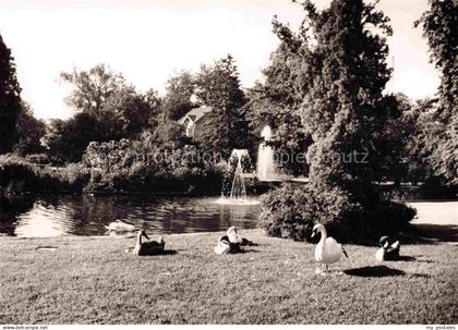 RuessELSHEIM Main Stadtpark Schwaene Springbrunnen