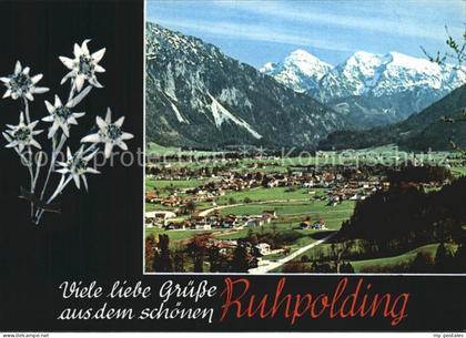 Ruhpolding Bayern mit Blick zu Chiemgauer Alpen Edelweiss
