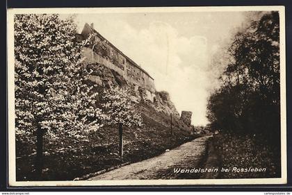 AK Wendelstein / Rossleben, Blick zum Ort mit blühenden Bäumen