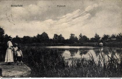 CPA Bitterfeld in Saxe Anhalt, Pilzteich