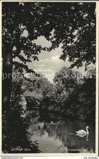 Woerlitz Park Sonnenbruecke Schwan
